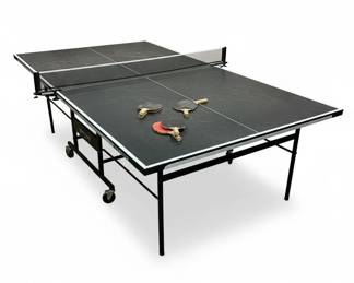 Ping Pong Table 