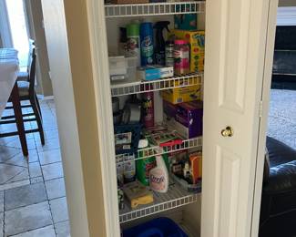 Lots of cleaning products