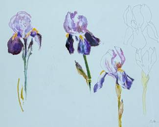 "Irises, Irises, Coming", an original oil pastel by listed artist, Carol Chapel. Professionally framed and measures in frame, 23.5” H x 26.5” W.

