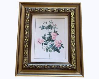 113 - Framed Print - 19 x 16
