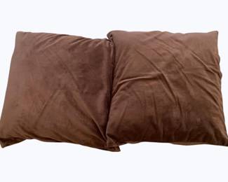 258 - 2 Throw Pillows - 18 x 18
