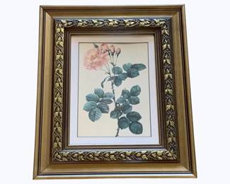 115 - Framed Print - 19 x 16
