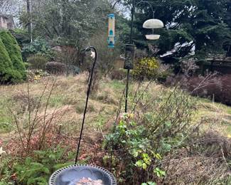 Birdbath & bird houses