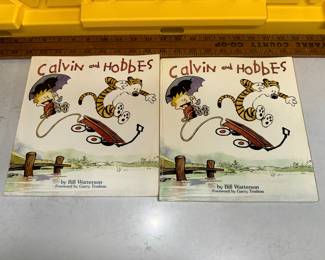 2 Calvin and Hobbes Books $5.00