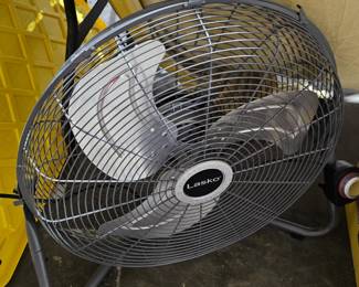 FAN