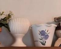 Various plant pots and vases