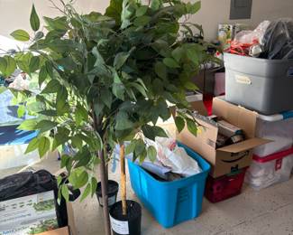 Artificial Plants. $40 each. 