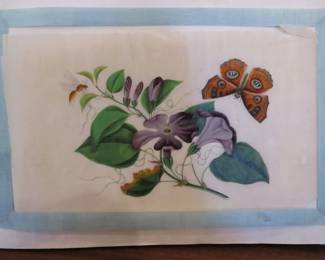 Sunqua Portfolio of Eight Botanical Watercolors
