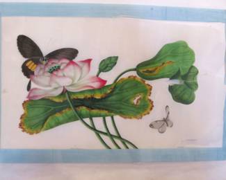 Sunqua Portfolio of Eight Botanical Watercolors