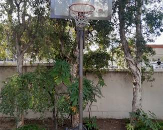 Official size basketball hoop by Lifetime