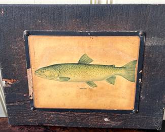 Antique picture of Fish