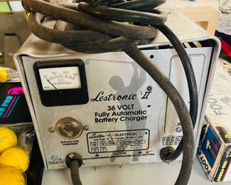 Golf cart battery charger