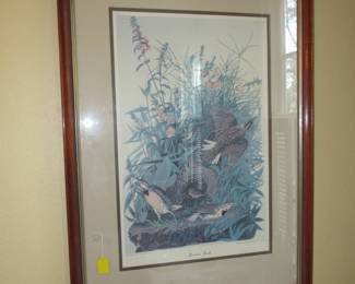Audubon 'Meadow Lark print