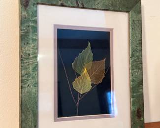 Birch Leaf Lines by Booker Morey