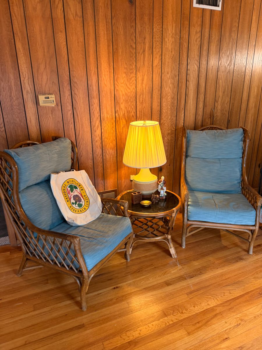 Vintage rattan wingback chairs and side table. Available for pre-sale. Email lizzy@soulshineestatesaleco.com for details. 