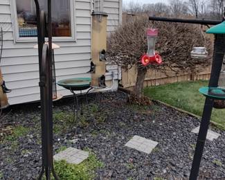 Lots of bird feeders
