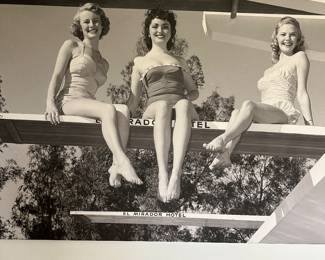 Palm Springs old black and white enlargement