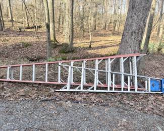 there are three Ladders an extension ladder and these two