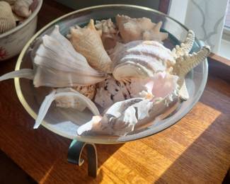 Decorative bowl filled with assorted natural seashells. Bowl and contents sold together as shown.