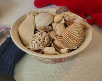Decorative bowl filled with assorted natural seashells. Bowl and contents sold together as shown.