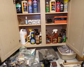 Cleaning supplies and garage items. 