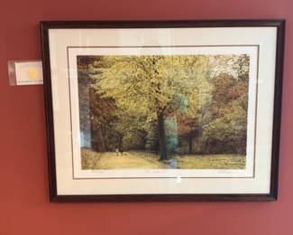 Altman, the yellow tree