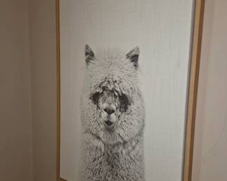Alpaca Art