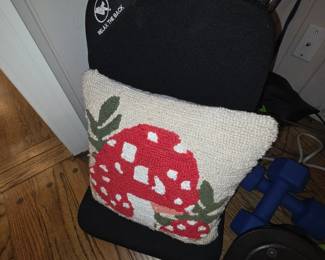Relax The Back items & mushroom pillow