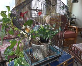 Large bird cage