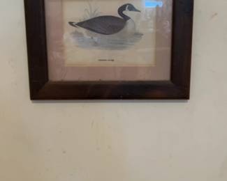 Framed Canadian Goose Print - Rustic Wildlife Art