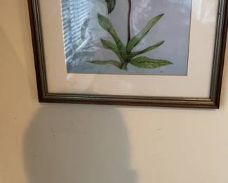 Framed Botanical Print of Lady Slipper Orchid Bud