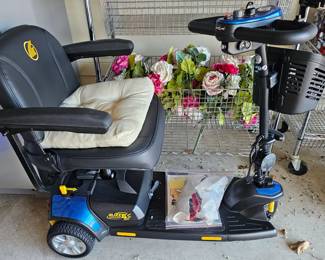 Buzz, Electric mobility chair, works great, only used a few times