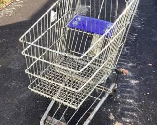 Small shopping cart