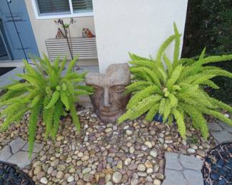 Carved stone head between to foxtail plants.