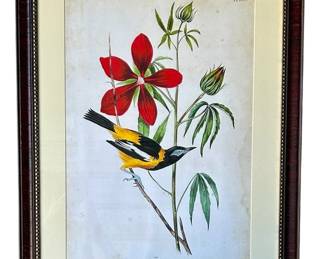 James Audubon art