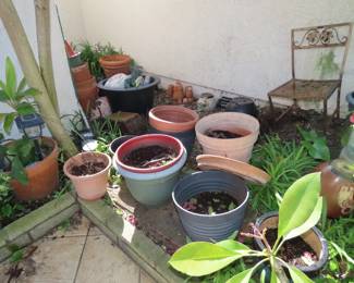 Plants and pots.