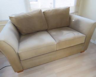 Loveseattwin size sleeper sofa.