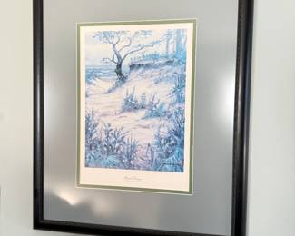 Framed Pictures. Several to Choose From, More Than What Is Pictured. 