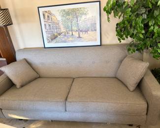 couch, fiscus tree, floor lamp