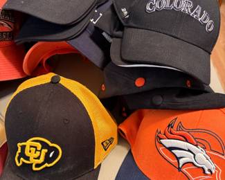 Broncos, Lewis Palmer, University of Colorado, Colorado Rockies