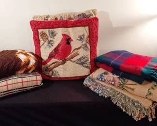 Blanket and Pillow Bundle