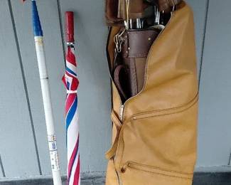 Golf Club Set with Travel Case, Umbrella and Ball Retreiver