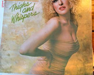 Lots of vinyl LPs, mostly rock and pop, including Beatles, Bette Midler, Stevie Wonder, Michael Jackson, Barry White, The Who, Bob Marley, Jimmy Buffet, Barbra Streisand, Wings, and more