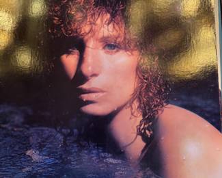 Lots of vinyl LPs, mostly rock and pop, including Beatles, Bette Midler, Stevie Wonder, Michael Jackson, Barry White, The Who, Bob Marley, Jimmy Buffet, Barbra Streisand, Wings, and more