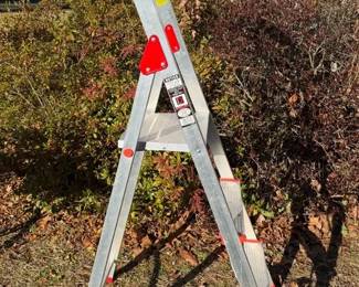 Davidson 3’ Ladder
