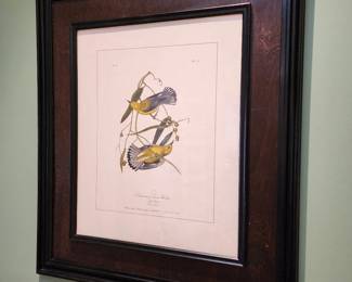 Large framed print of Audubon's Prothonotary Swamp Warbler