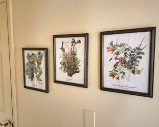 Vintage framed bird prints