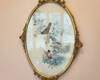 Antique framed birds print
