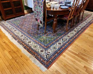 Gorgeous Persian rug (10' x 14') - recently professionally cleaned