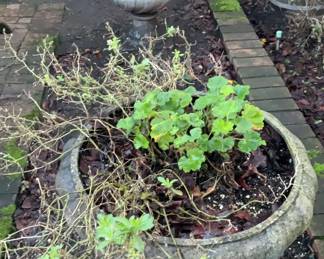 Pair of Urn Style Outdoor Pots